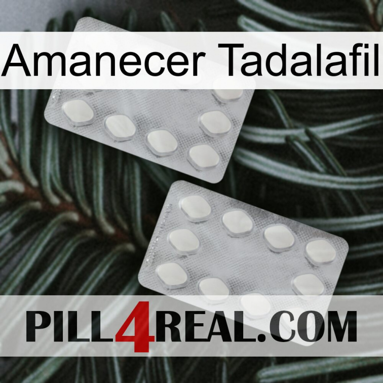 Sunrise Tadalafil 17